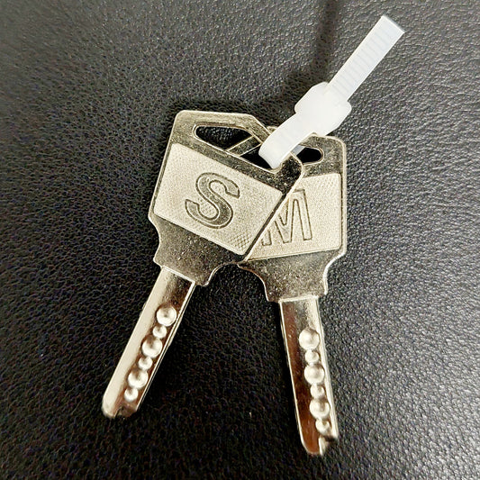 Back Door Keys for M-C20 Charging Carts (Set of 2)