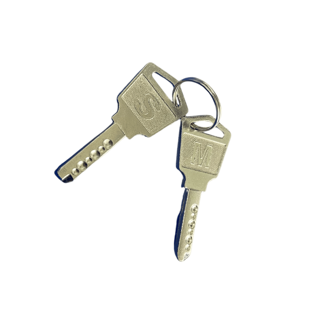 BACK DOOR KEYS FOR C16 AND C20 CHARGING CARTS (SET OF 2)