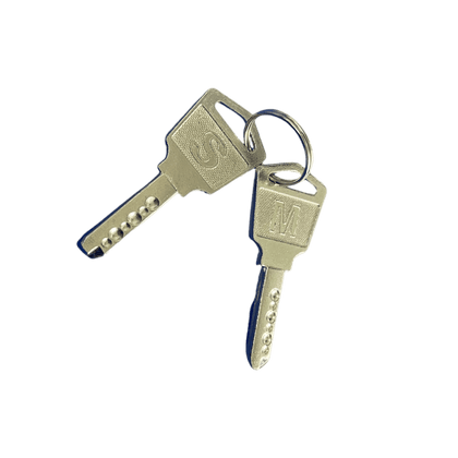 BACK DOOR KEYS FOR C16 AND C20 CHARGING CARTS (SET OF 2)
