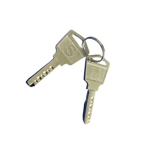 BACK DOOR KEYS FOR C16 AND C20 CHARGING CARTS (SET OF 2)