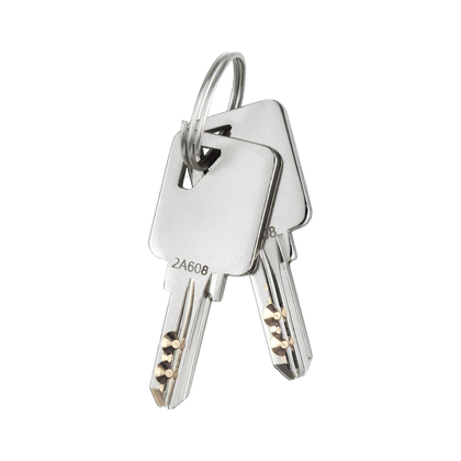 Extra Keys (SET OF 2) A608