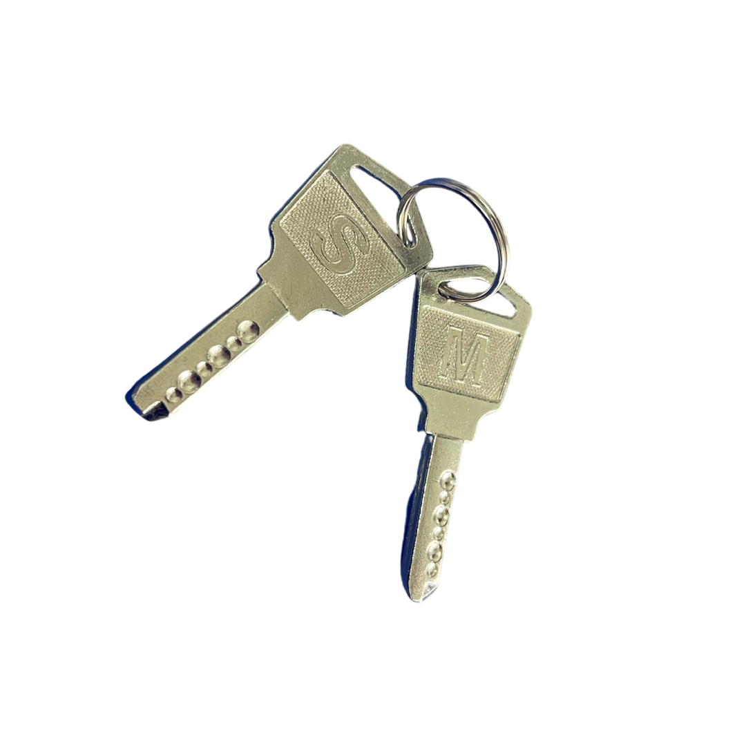 BACK DOOR KEYS FOR C16 AND C20 CHARGING CARTS (SET OF 2)